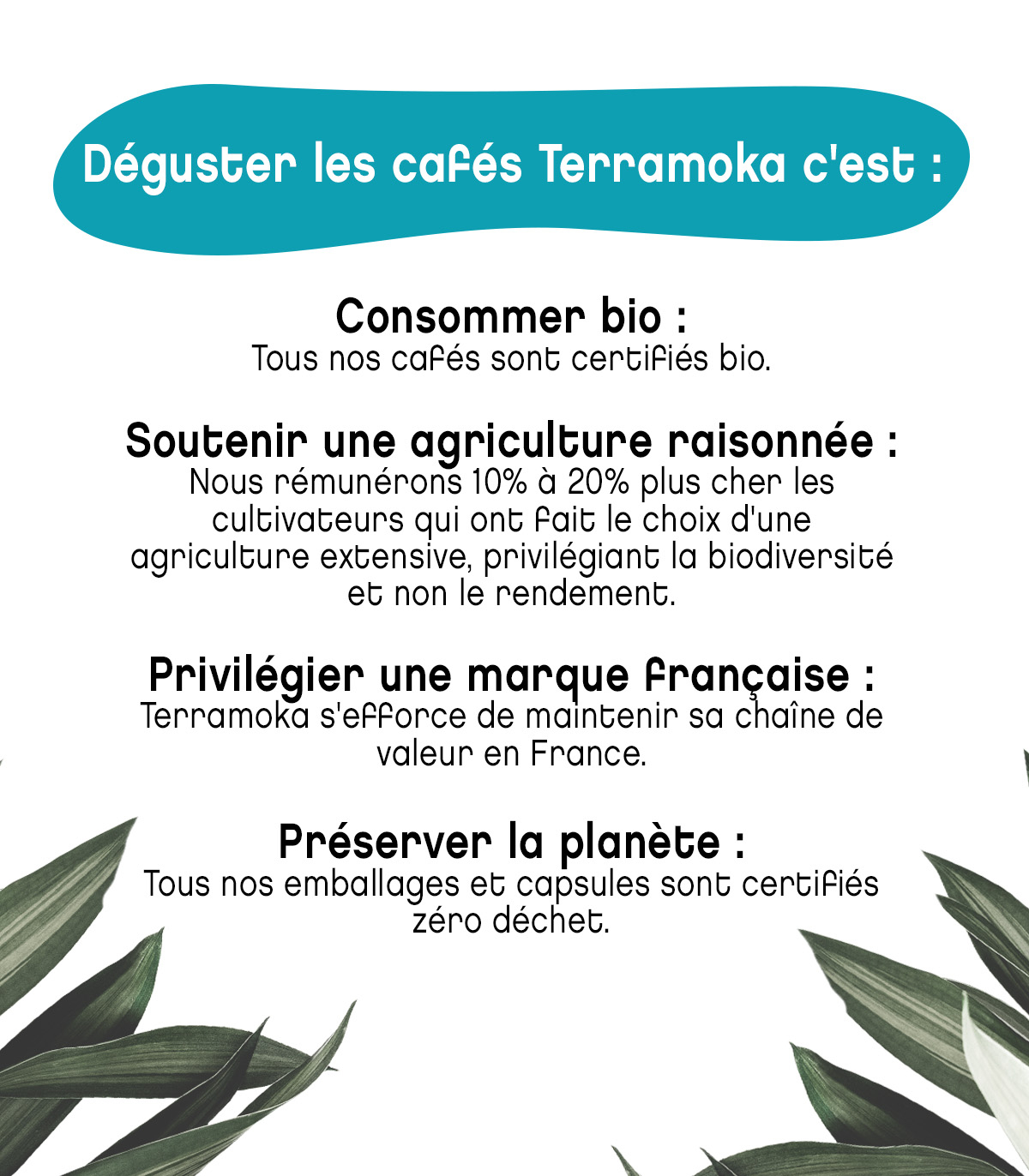 cafe-bio-16-dosettes-compatibles-senseo-arabica-du-perou-decafeine-nelson2